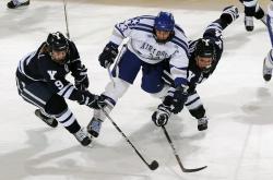 开云体育入口-迪马利亚关键进球定乾坤，贝蒂斯封锁多特蒙德—战术纪律与个人灵光的胜利