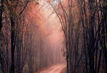 开云体育中国官网-关于篮球精彩瞬间再现多情感分享的信息