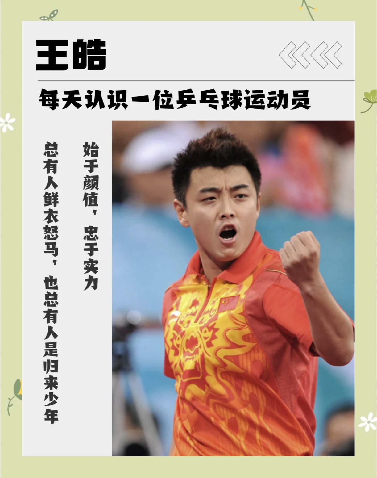 关于中国乒乓球队横扫波兰乒乓球队，王皓惊艳世界的信息