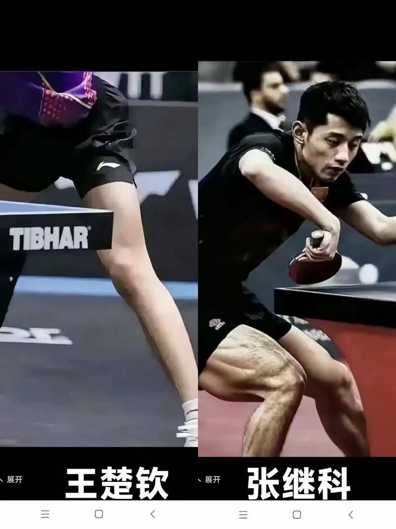 包含德国乒乓球队翻盘波兰乒乓球队，张继科高光表现的词条